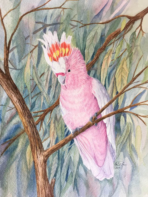 sunny day on soth coast Australia