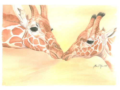 Two Giraffes
