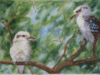 kookaburras