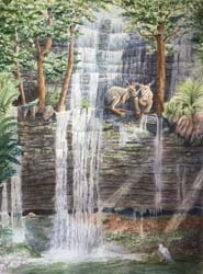 Waterfall in Tasmania