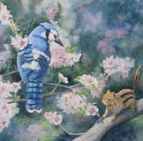 bluejay with chipmunk